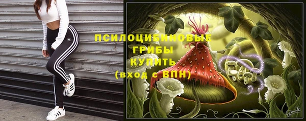 спиды Алзамай