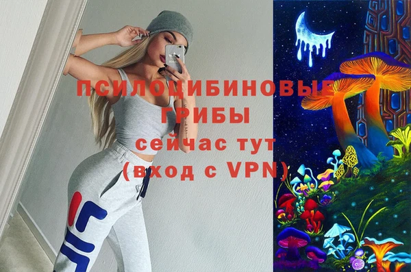 спиды Алзамай