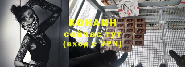 спиды Алзамай