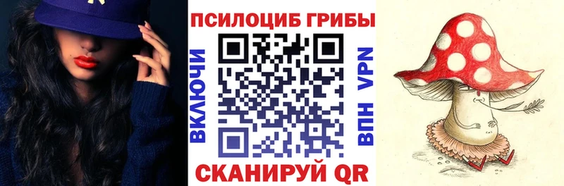наркотики  Нолинск  Псилоцибиновые грибы прущие грибы 
